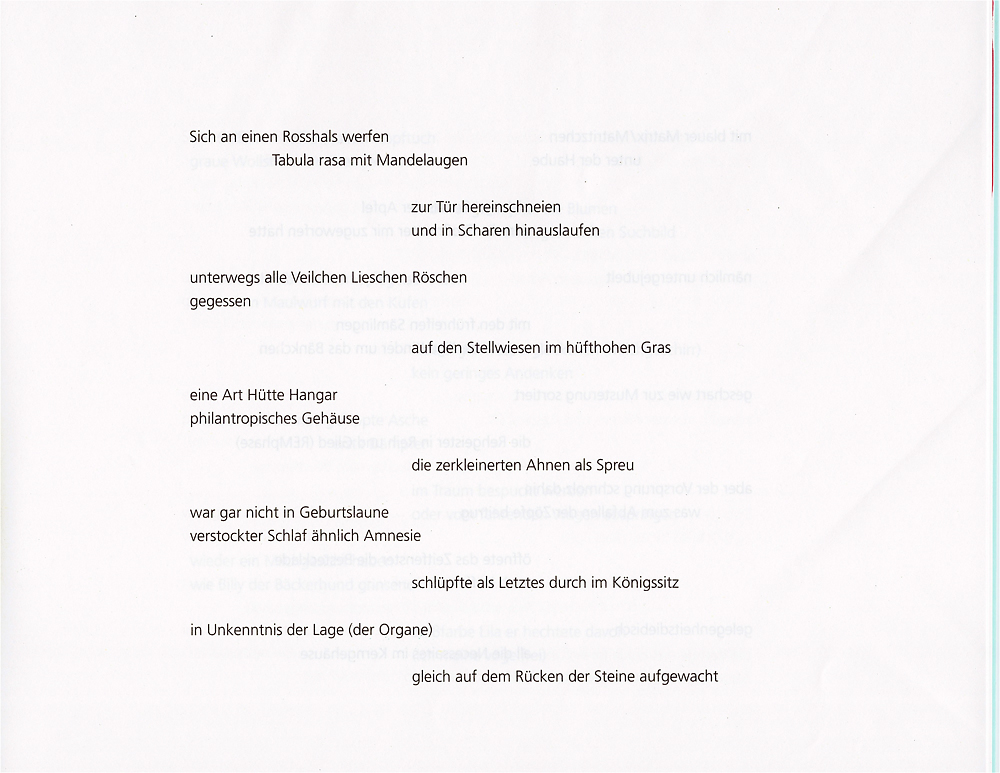 Gisela Steinlechner, Reinhold Kirchmayr: name tag purpur